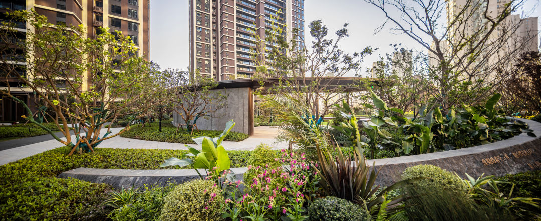 为什么龙湖的房子户型一直在迭代,为什么龙湖最好