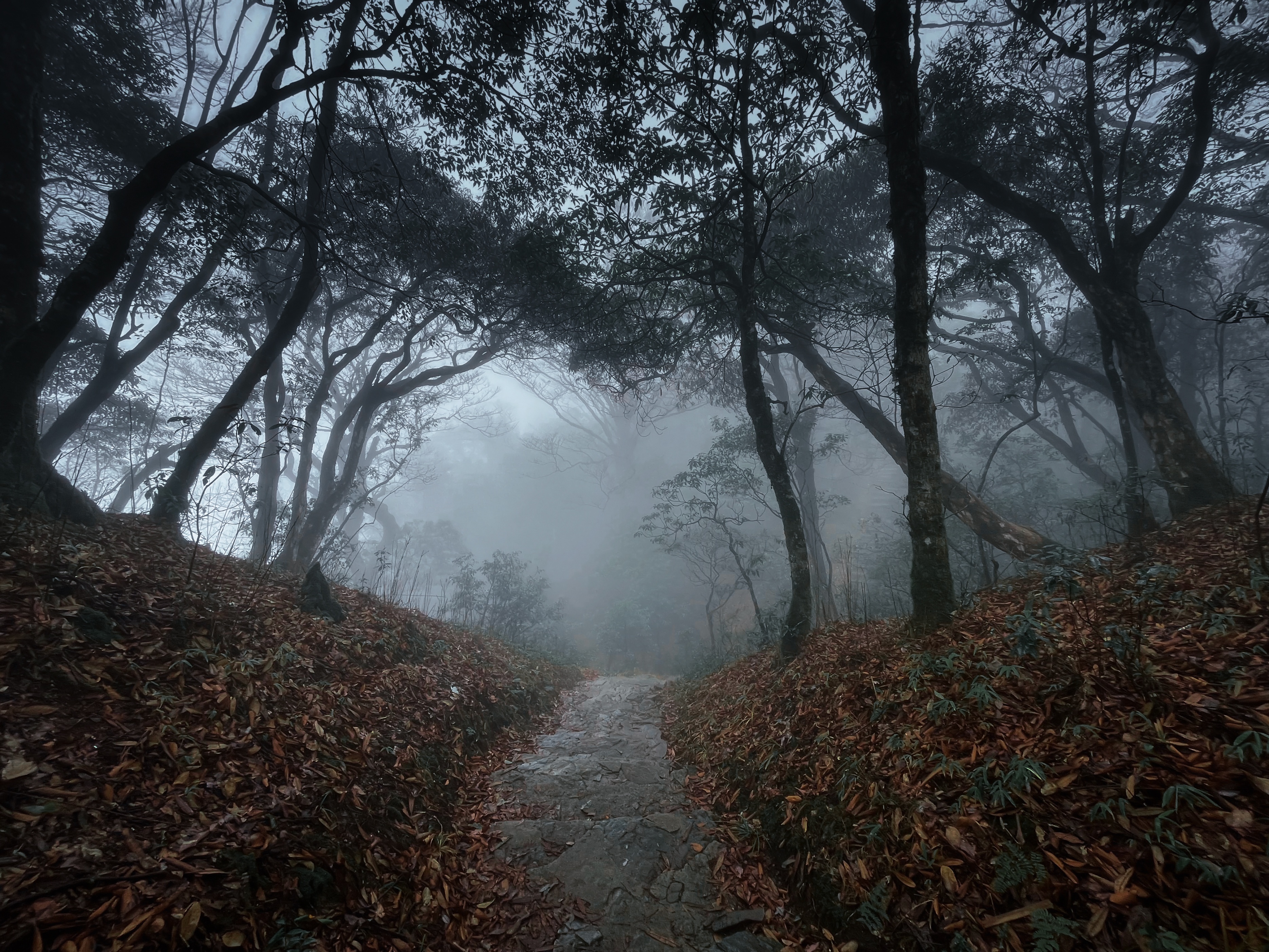 春节梵净山半日游攻略,贵州梵净山国庆攻略