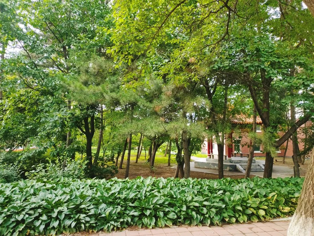 「新生指南丨史上最全宿舍介绍」吉林大学新生快来认领你的宿舍