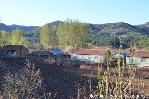 刨药材的视频,刨药材视频