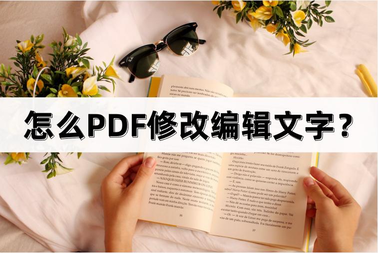 pdf转换成word后怎么编辑文字,如何pdf修改名称