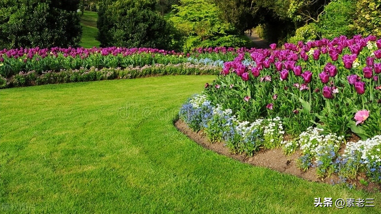 女作家去做保姆119,女作家去做保姆378