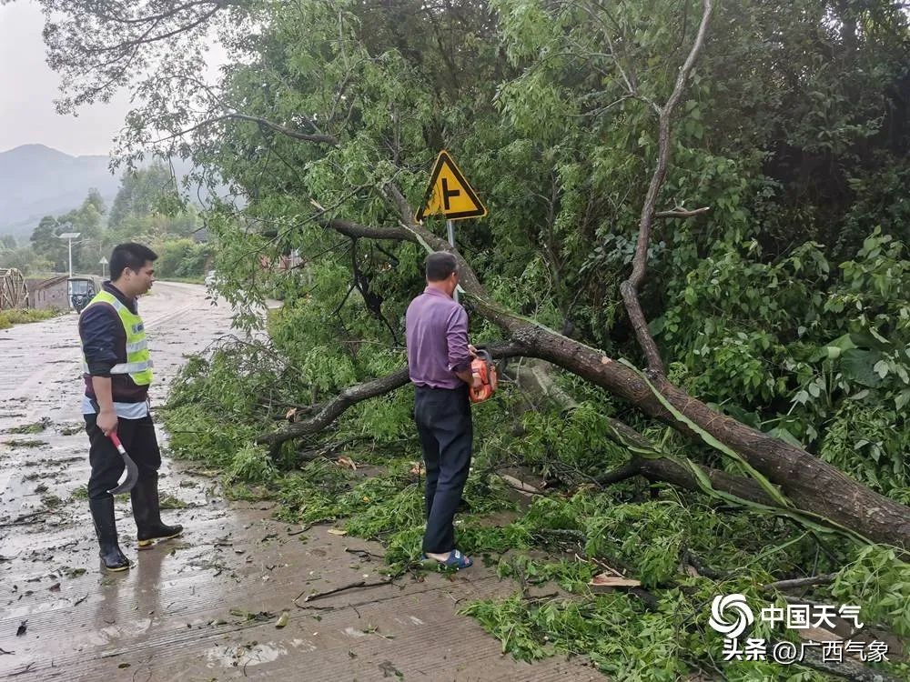 20日雨水减弱一天！21-25日连续性中到大雨+局地暴雨到大暴雨+短时雷暴大风、冰雹来广西过“三月三”......