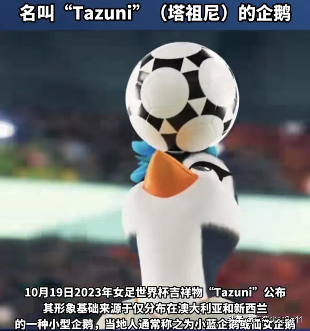 2023年女足世界杯吉祥物来了！吉祥物是只企鹅，名叫塔祖尼的企鹅