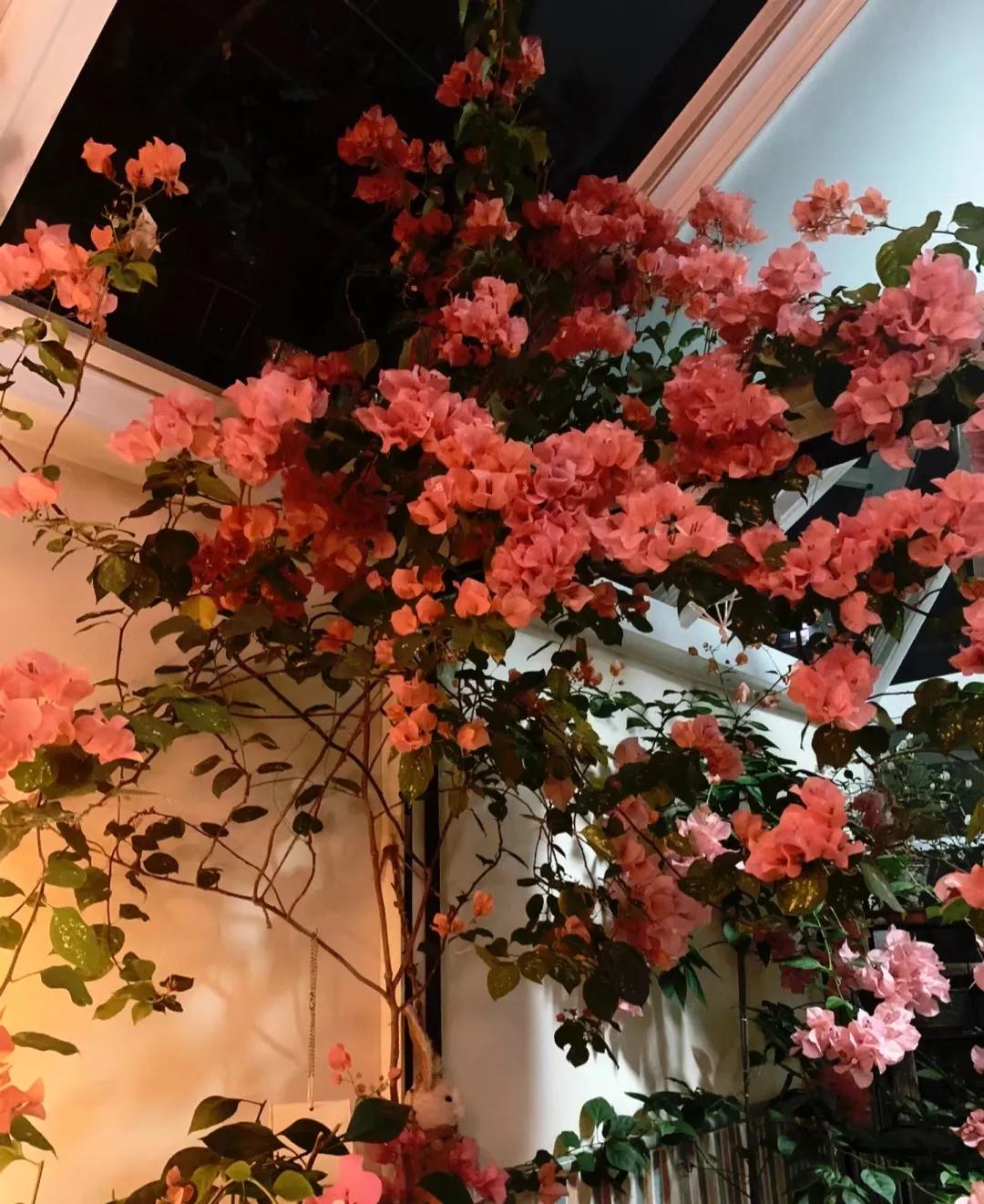 90后将天台改造成空中花园,90后姑娘回家改造楼顶花园