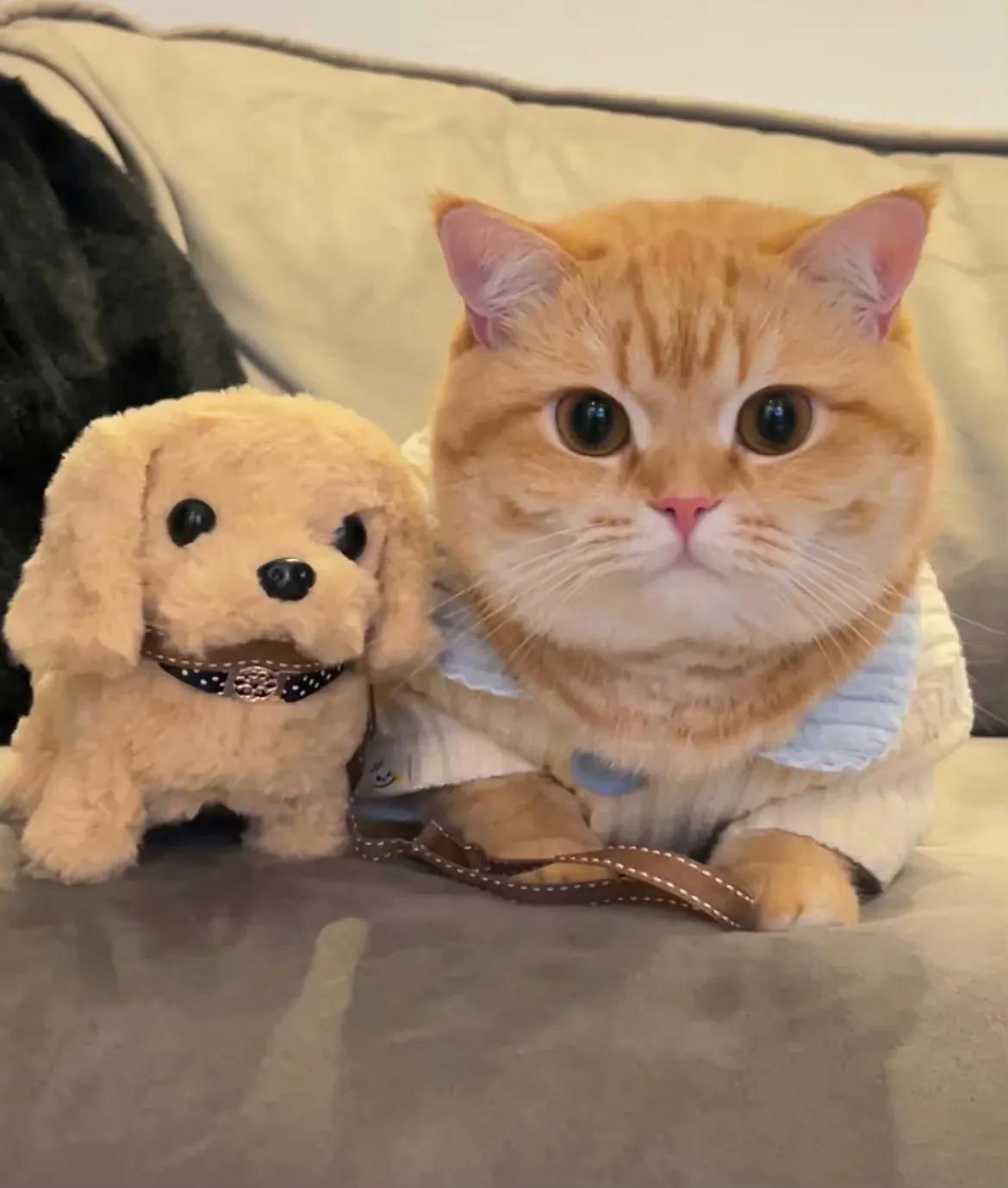 慢慢开始学会放下情绪文案,情绪文案并不代表个人情感