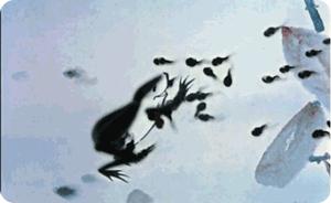 儿童节今昔对比,儿童节快乐找回童年的那些记忆