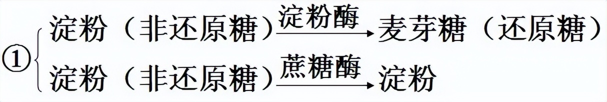 高中生物细胞代谢产生什么物质,高中生物细胞代谢视频