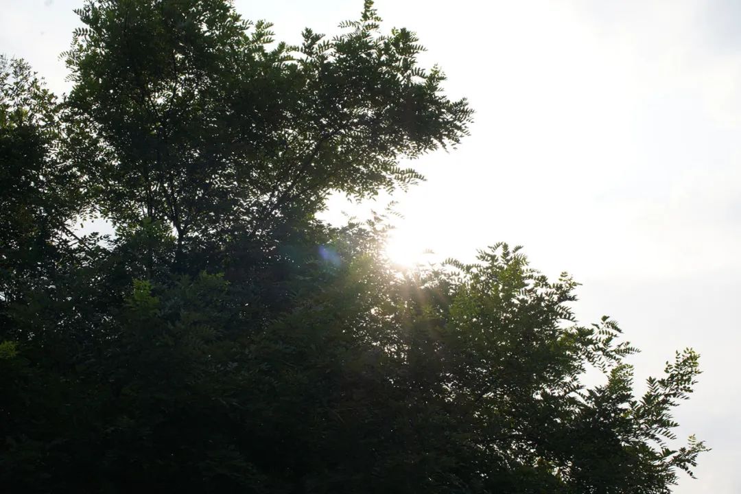 微单小三元镜头,索尼长焦镜头70-200f4机身按键作用