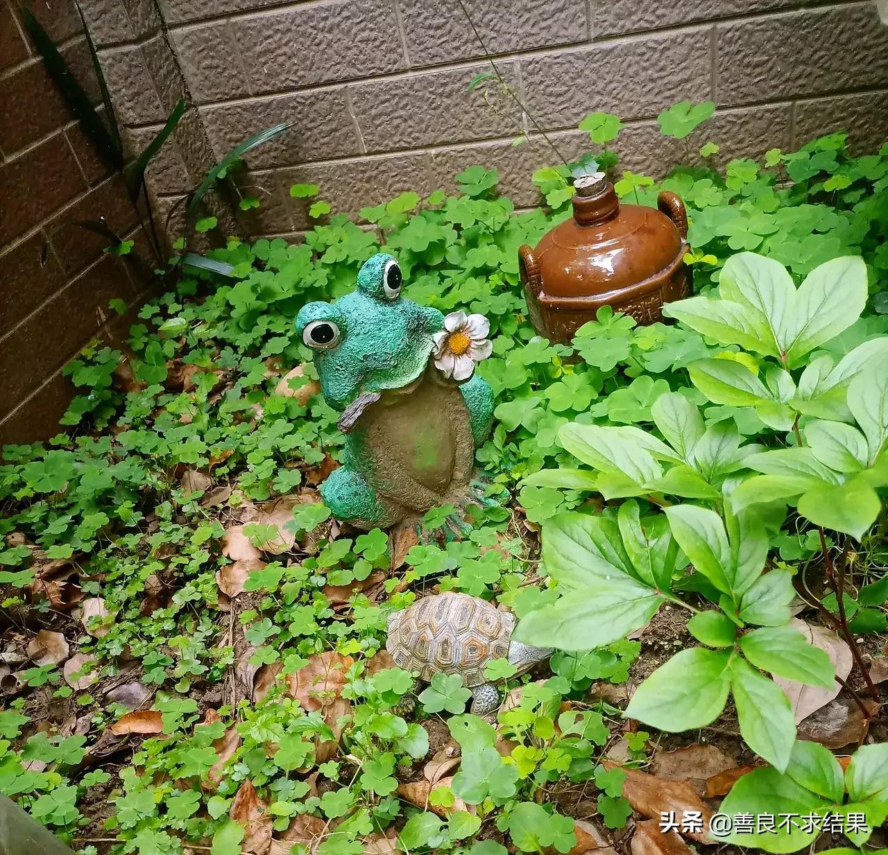 古朴的“农家小院”,总是备受人们喜爱