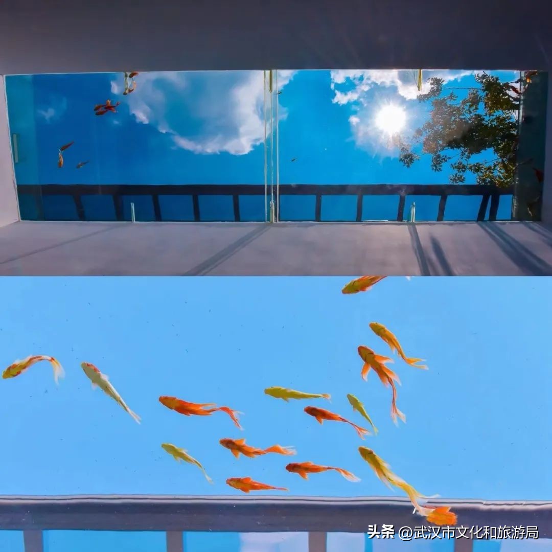 武汉夏天凉快的游玩地方,武汉凉快又免费的景点