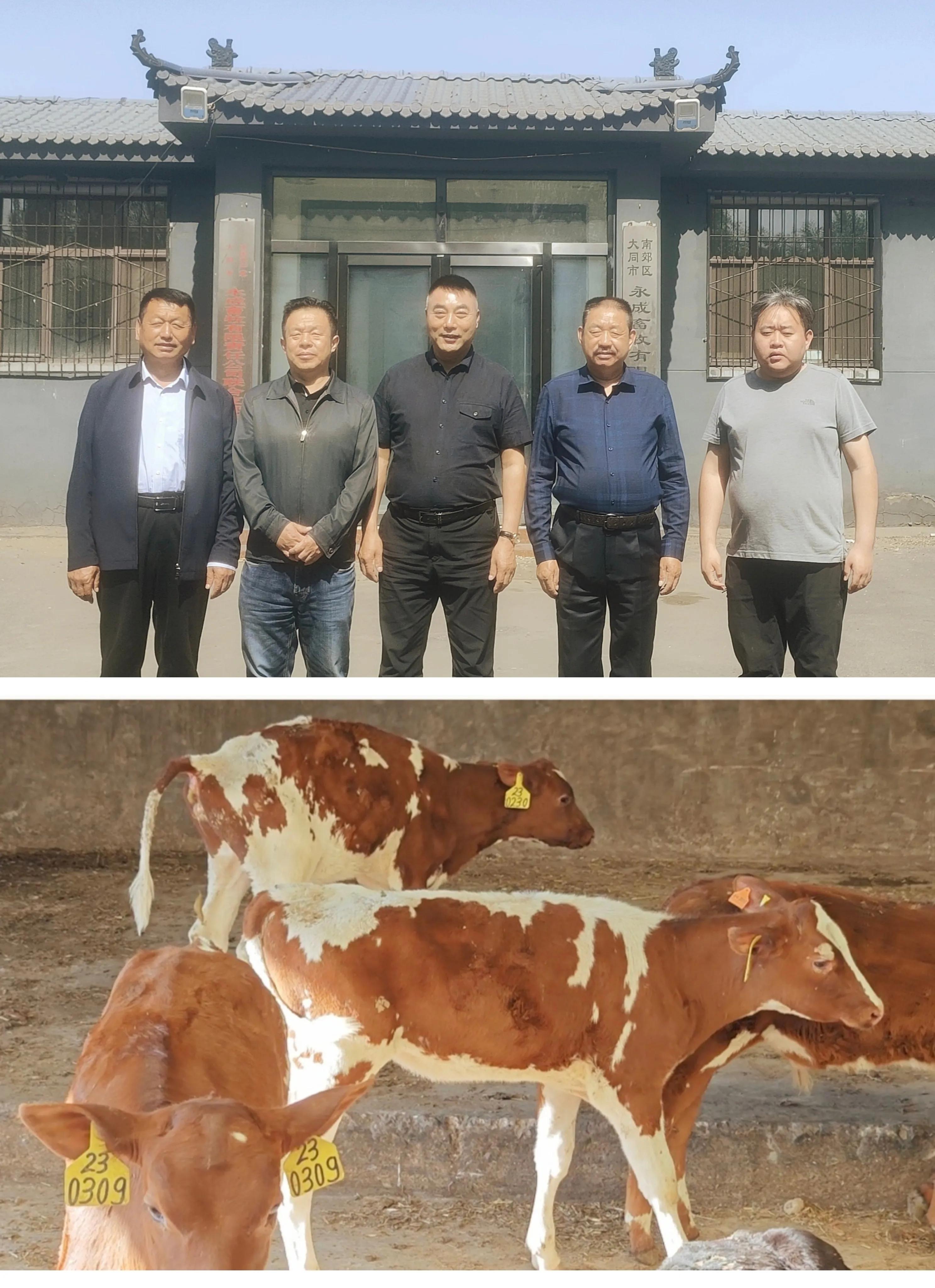 王殿辉山西,山西王殿辉