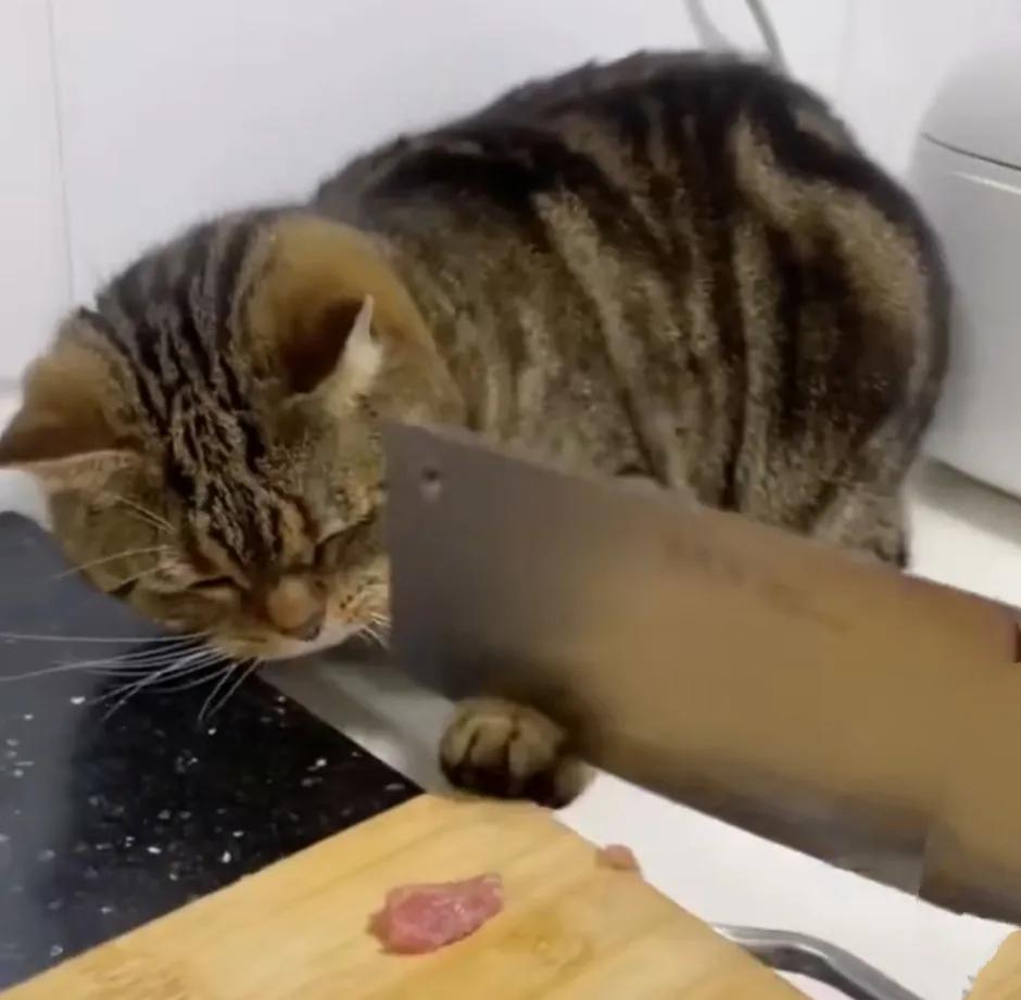 中信国安st原因,st国安最终走向预测