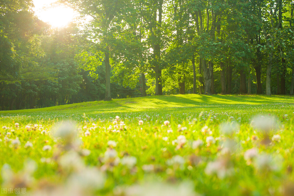 生命有星光完整版大结局,生命有星光全集解说