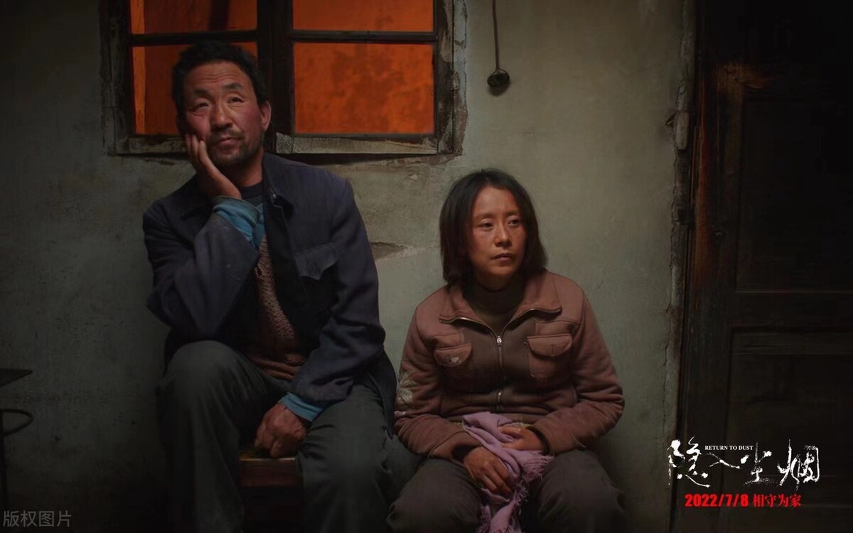 隐入尘埃被下架了,隐入尘烟为什么能在平台上看