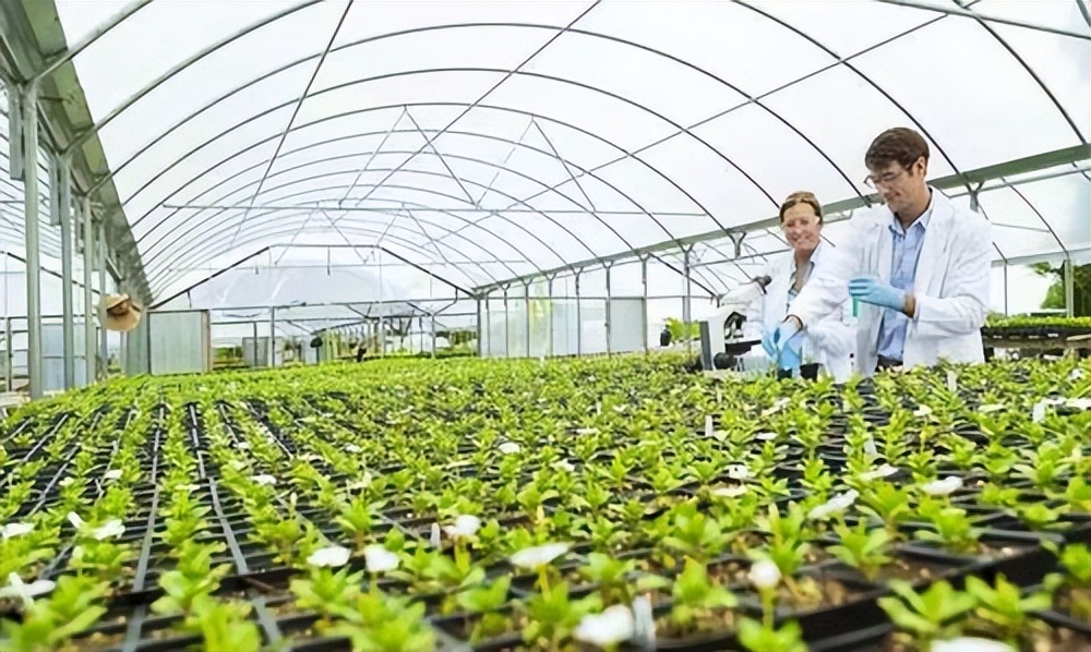 美国近期和中国的最新消息,美国有进行粮食制裁吗