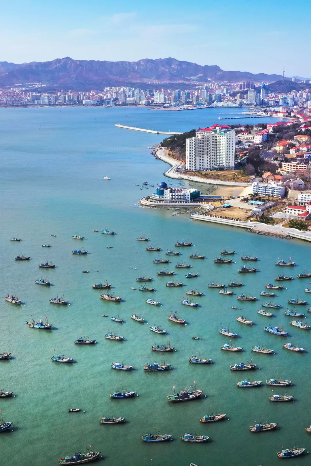 南方马鲛和北方马鲛哪个好吃,山东鲅鱼与南方马鲛鱼哪个好吃