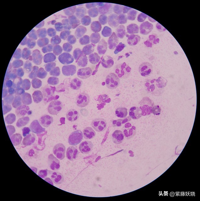 沉沦的女人(小小说)下篇