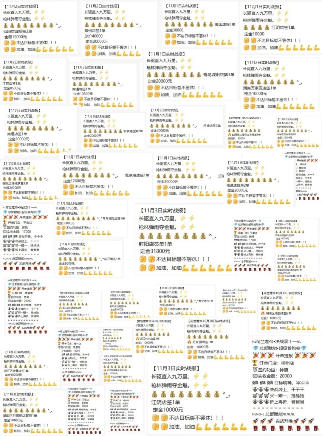 荷兰蔻帝和德国菲玛哪个更好,荷兰蔻帝和本杰明哪个好