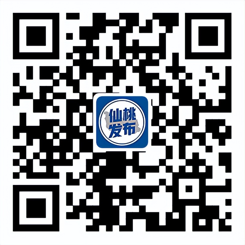 仙桃市公务员报考条件,湖北仙桃2024招录公务员岗位