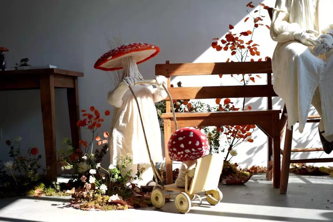 奇形怪状的羊毛毡,奇形怪状羊毛毡