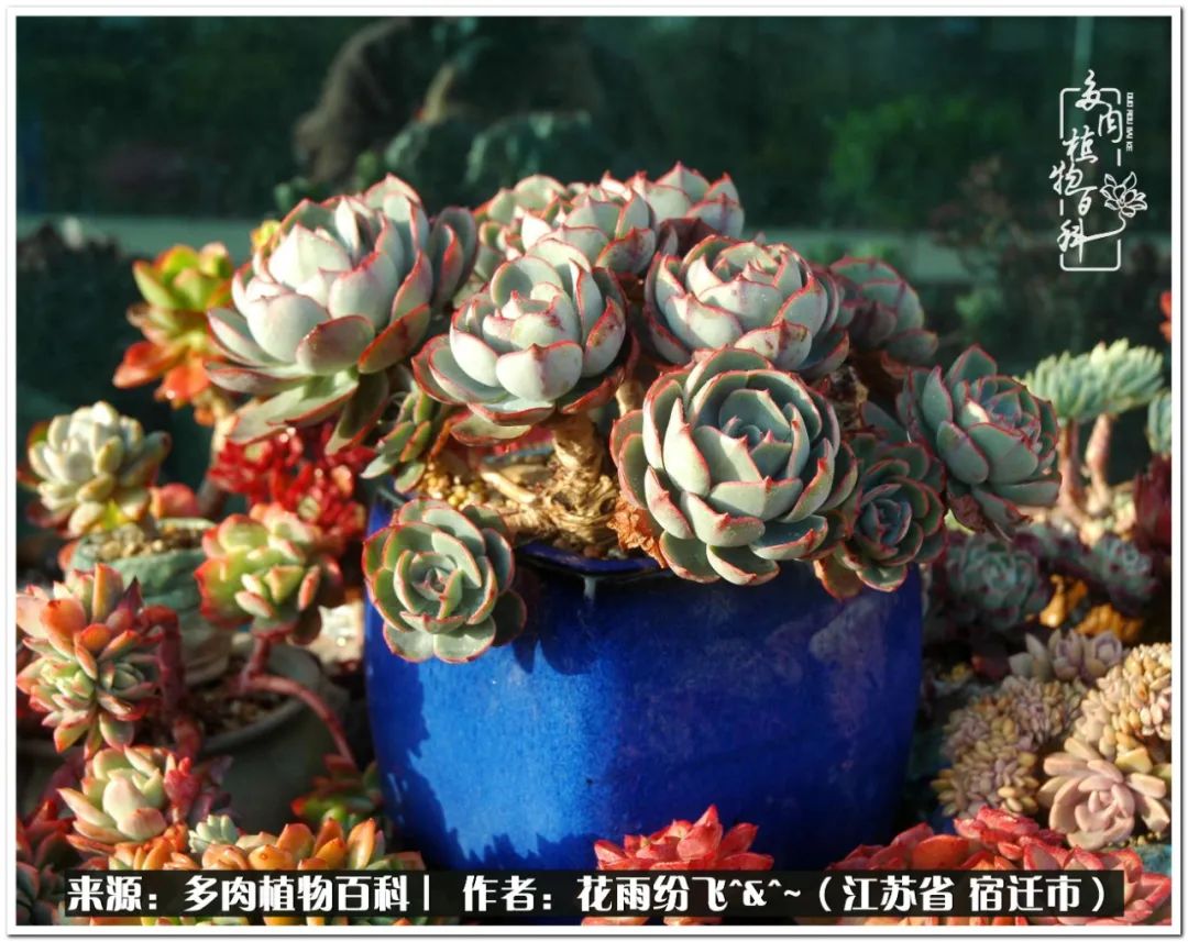 回味童年无忧无虑的快乐时光,童年最快乐的时光