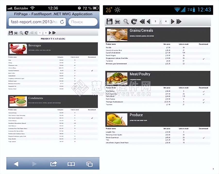 fastreport报表服务器,怎么创建一个fastreport报表