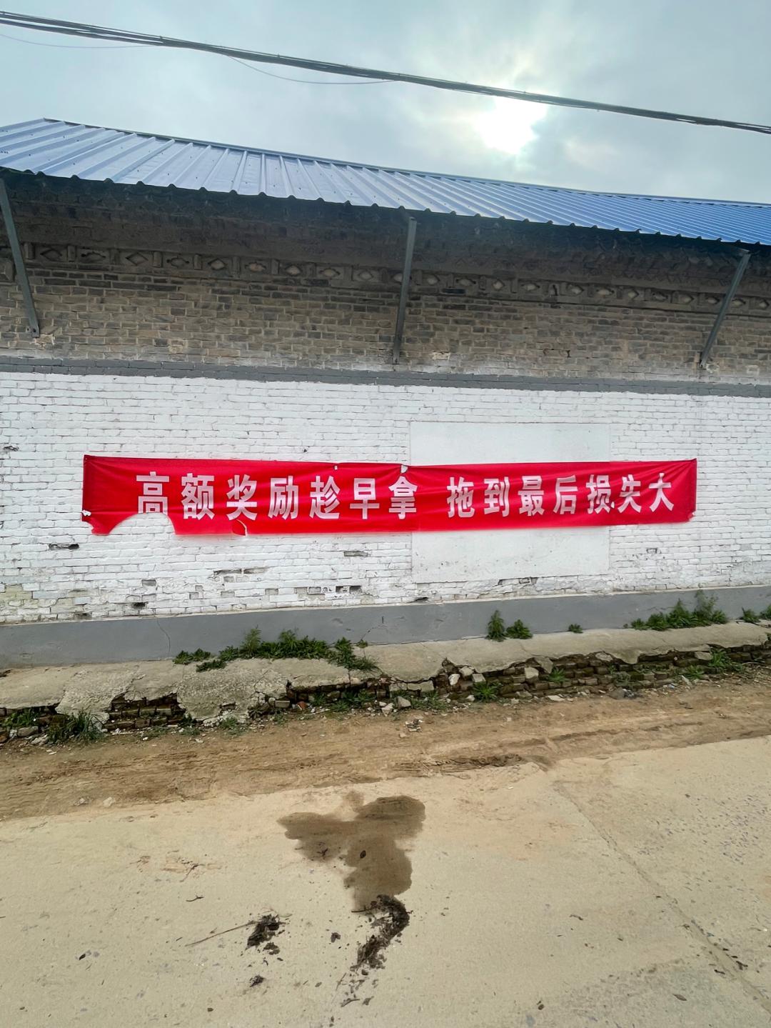 环渤海湾骑行记,环山东骑行日记青岛平度市