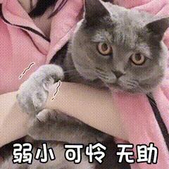 孕妇31周小肚子痛怎么回事,32周孕妇的苦与甜