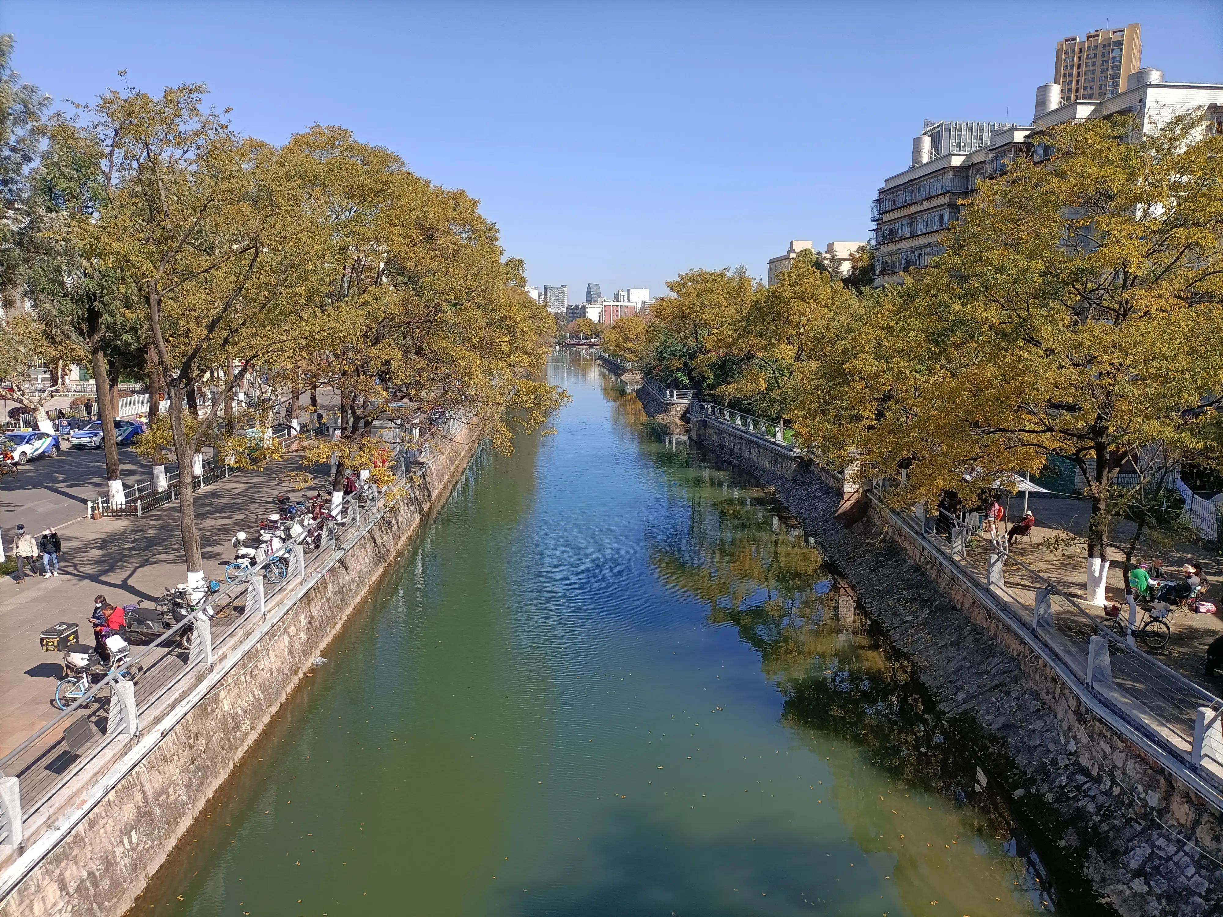 冬日的昆明美如春,这才是昆明四季如春的样子