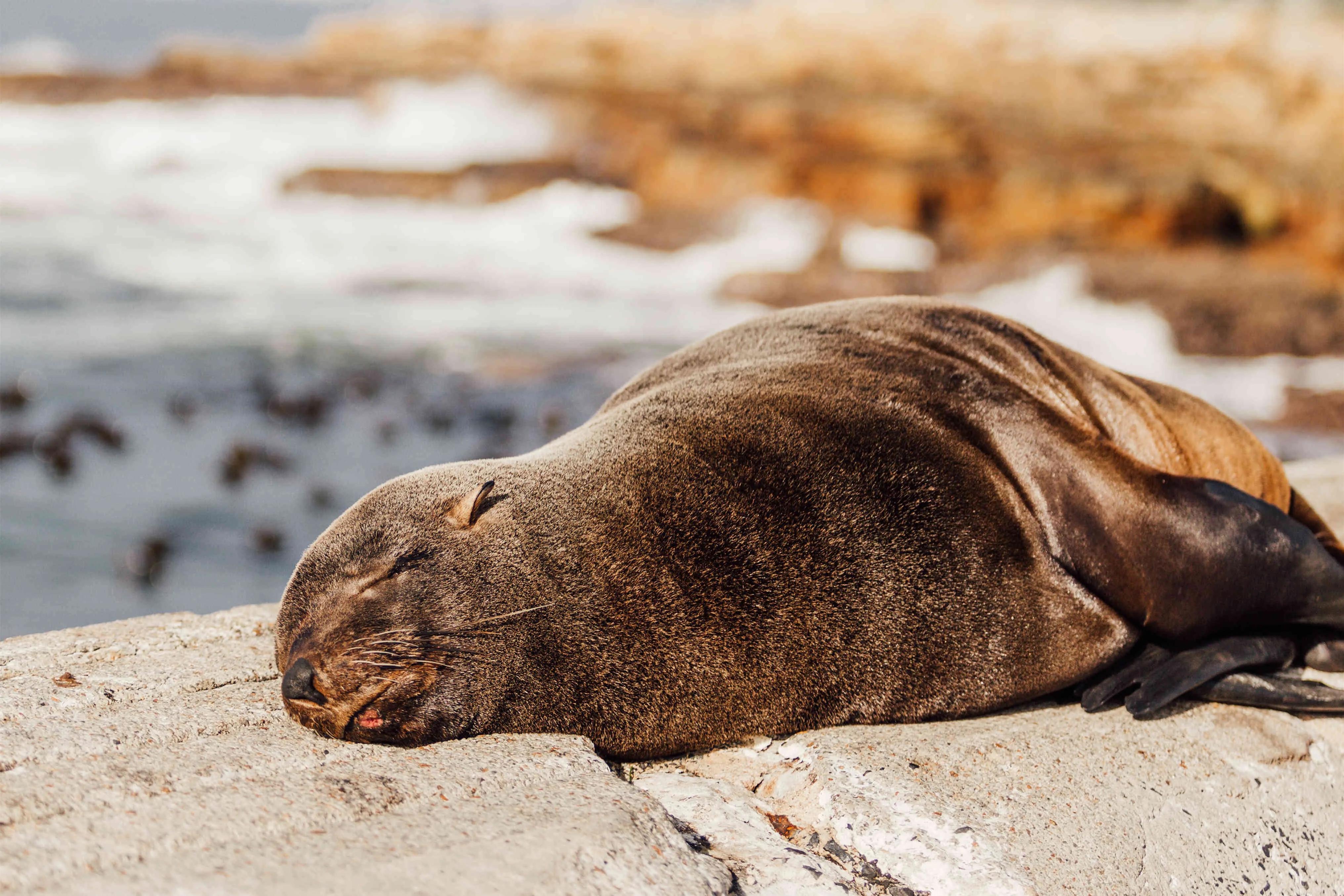 直到死亡将我们分开英文怎么说,直到死亡将我们分开