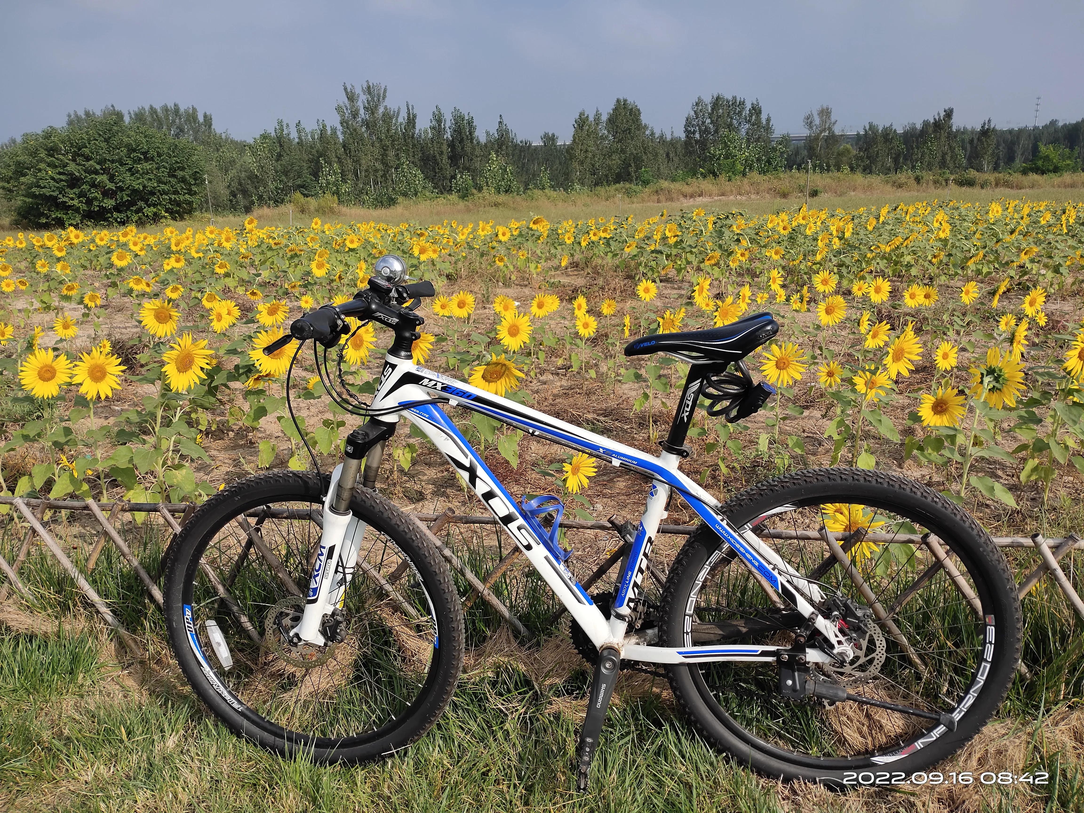 闲鱼上的二手山地车能买吗,闲鱼上的二手山地车如何买才避坑