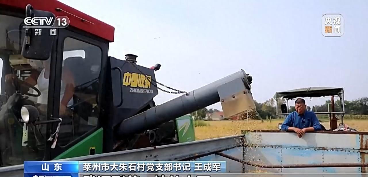 庄稼丰收但无人收割,庄稼丰收但无人收割来自什么俗话