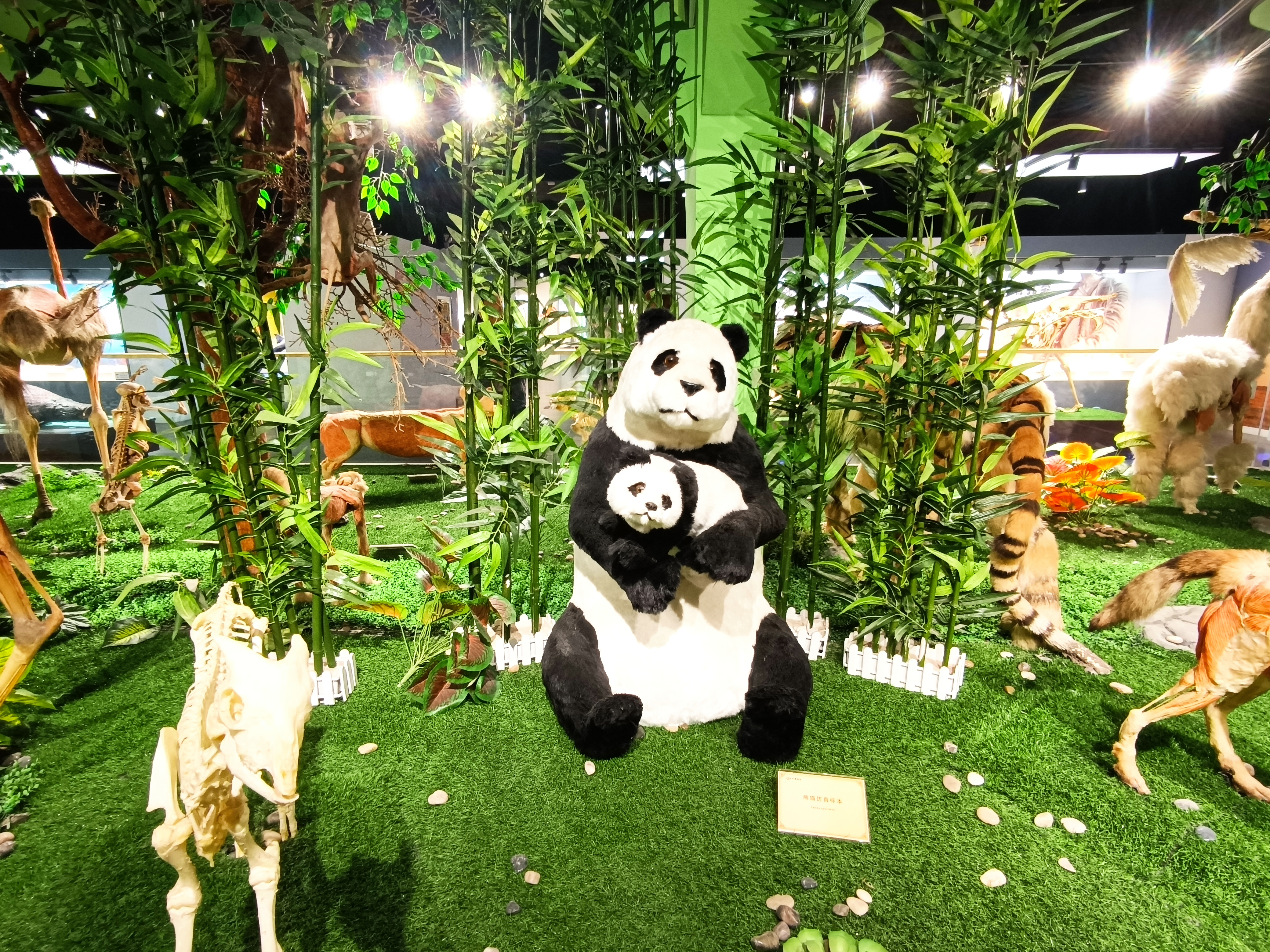 郑州人体科学馆要门票吗,郑州适合带孩子玩的博物馆科技馆