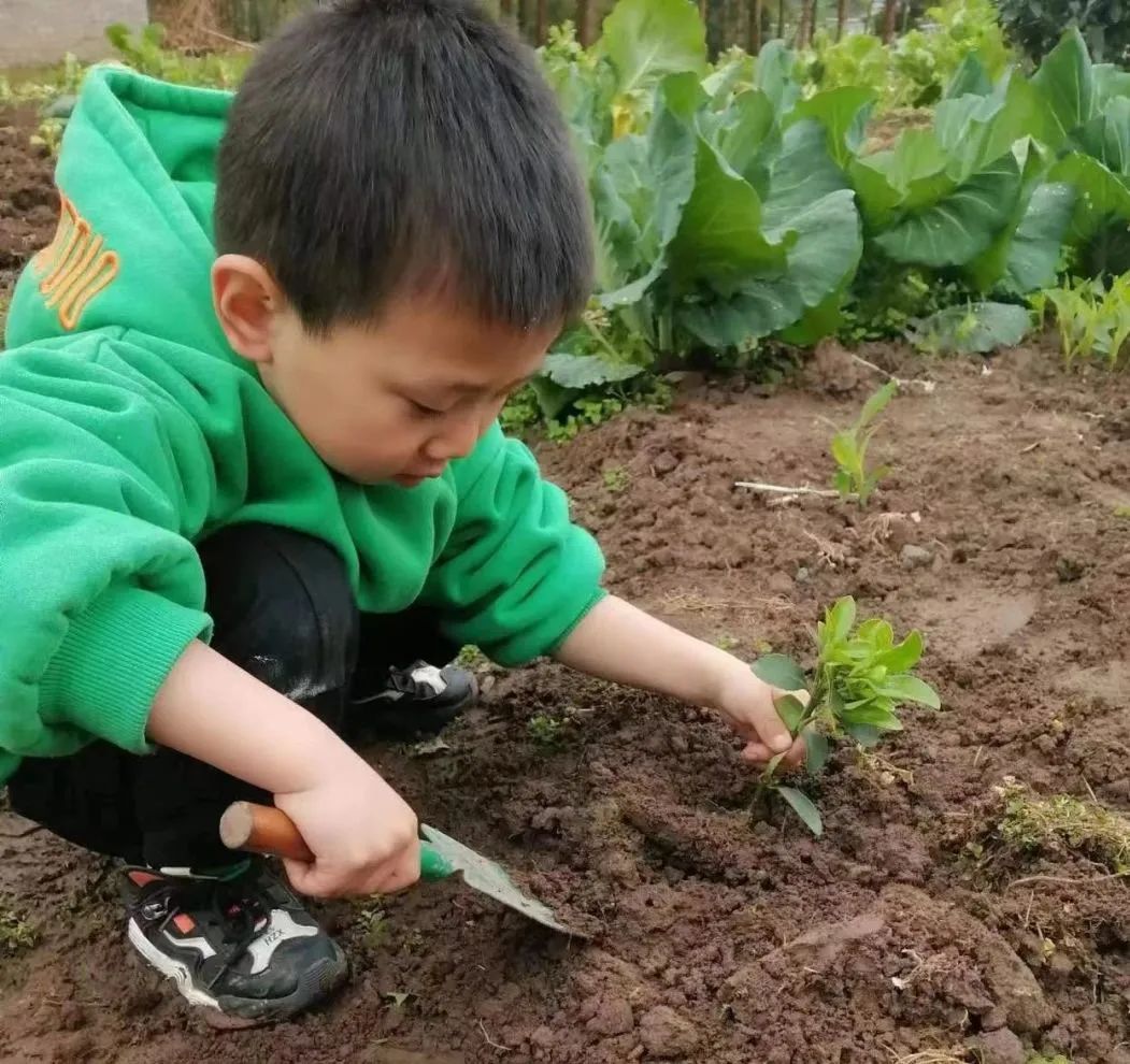 洪雅县第四幼儿园叫什么名字,洪雅第四幼儿园在哪里