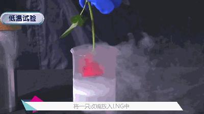 lng接收站基础知识考试及答案,lng要用到什么技术