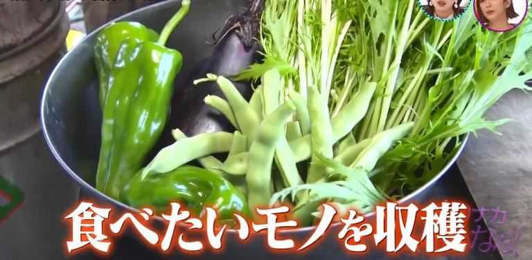 鏃ユ湰绗竴鐪侀挶,鏃ユ湰鏂按鏂數