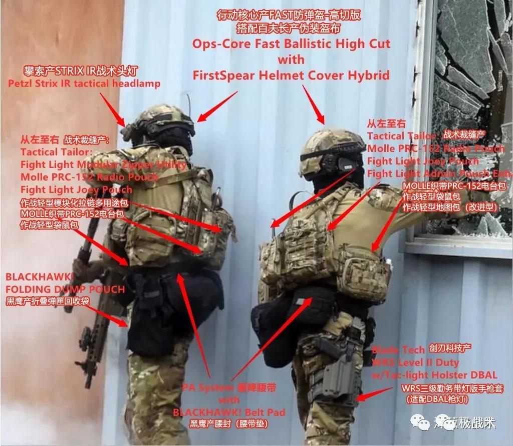 虎年说虎科普视频,虎年说虎运用了哪些说明方法