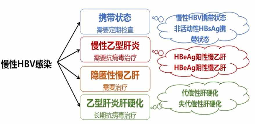 如何快速看懂乙肝化验单,乙肝携带查乙肝五项怎么看化验单