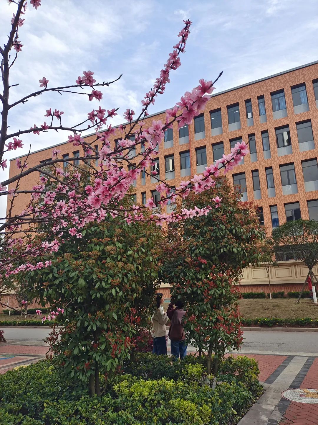 葵花宝典计算机二级考试,计算机二级考试全过程和技巧