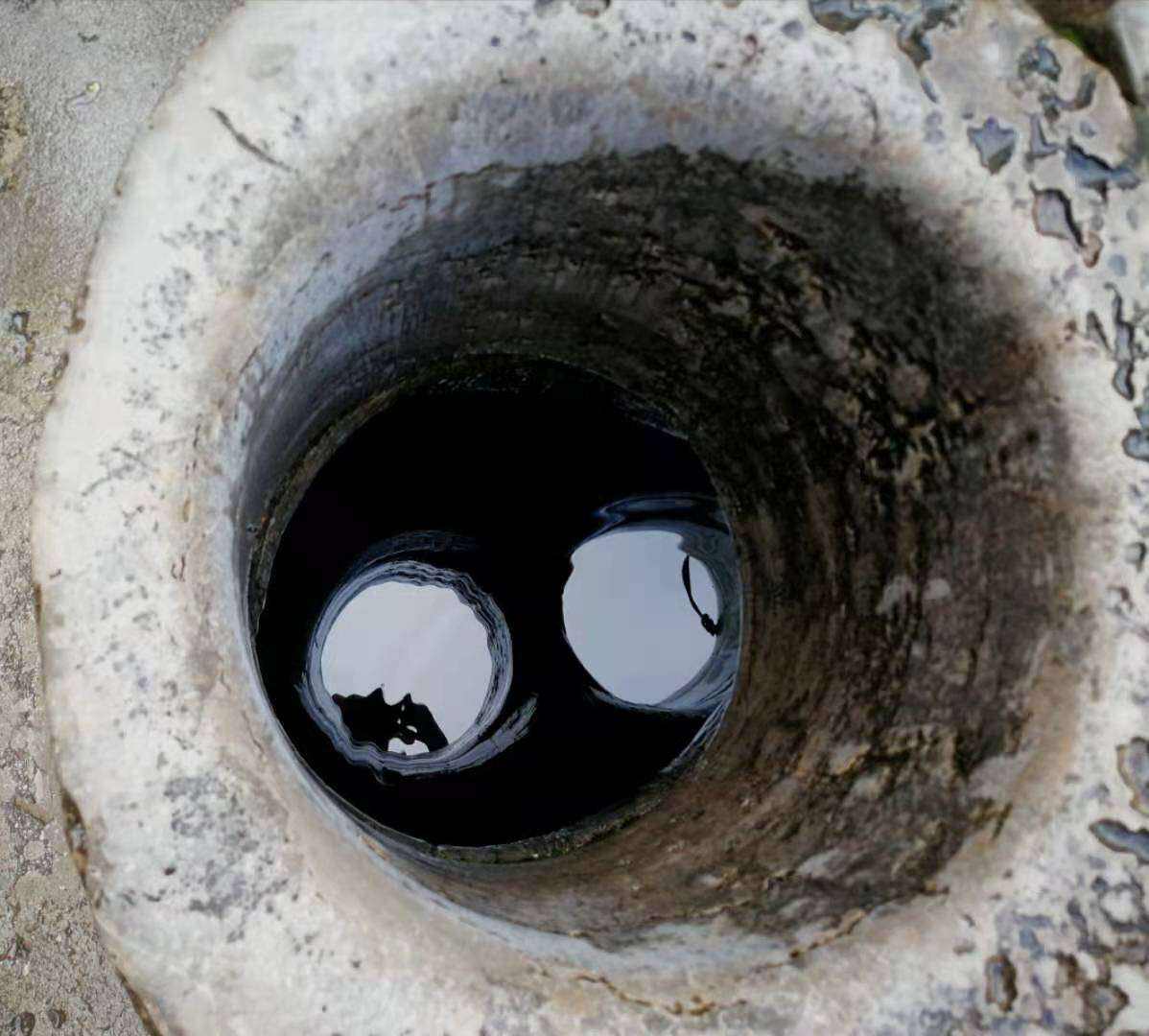 打破山东省小麦高产纪录,河南省今年小麦亩产最高纪录