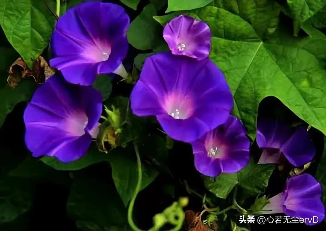 女儿啊，你没有权力鄙薄父母的卑微，你要做的是给他们体面的生活