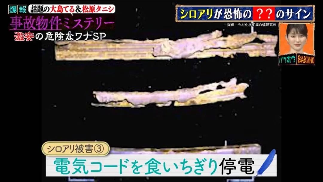 夫妻俩买婚房不料是凶宅下集,夫妻住在凶宅的真相