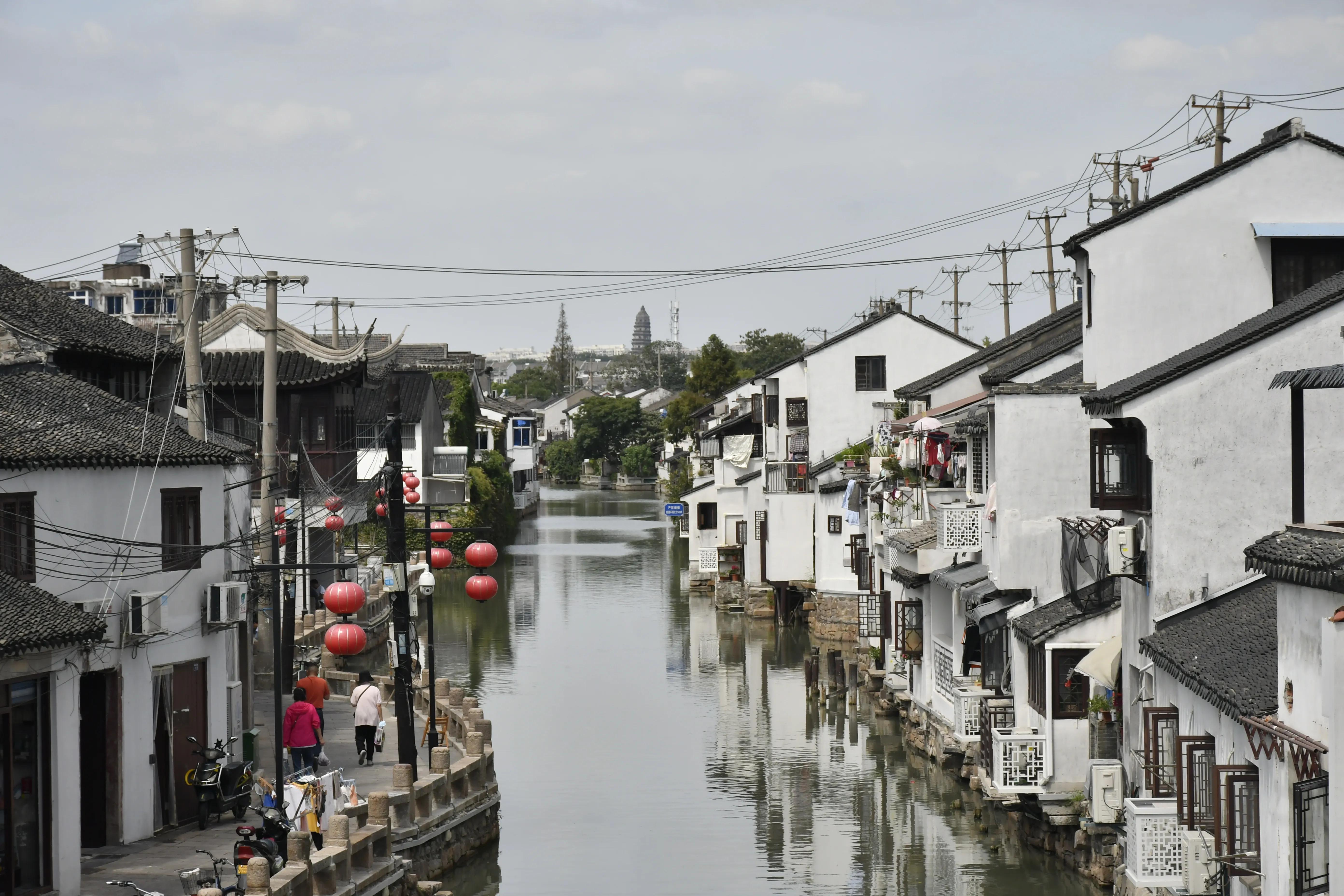 送你一段江南梦（又名:我最爱的苏州旅游线路，爱猫人士必逛）