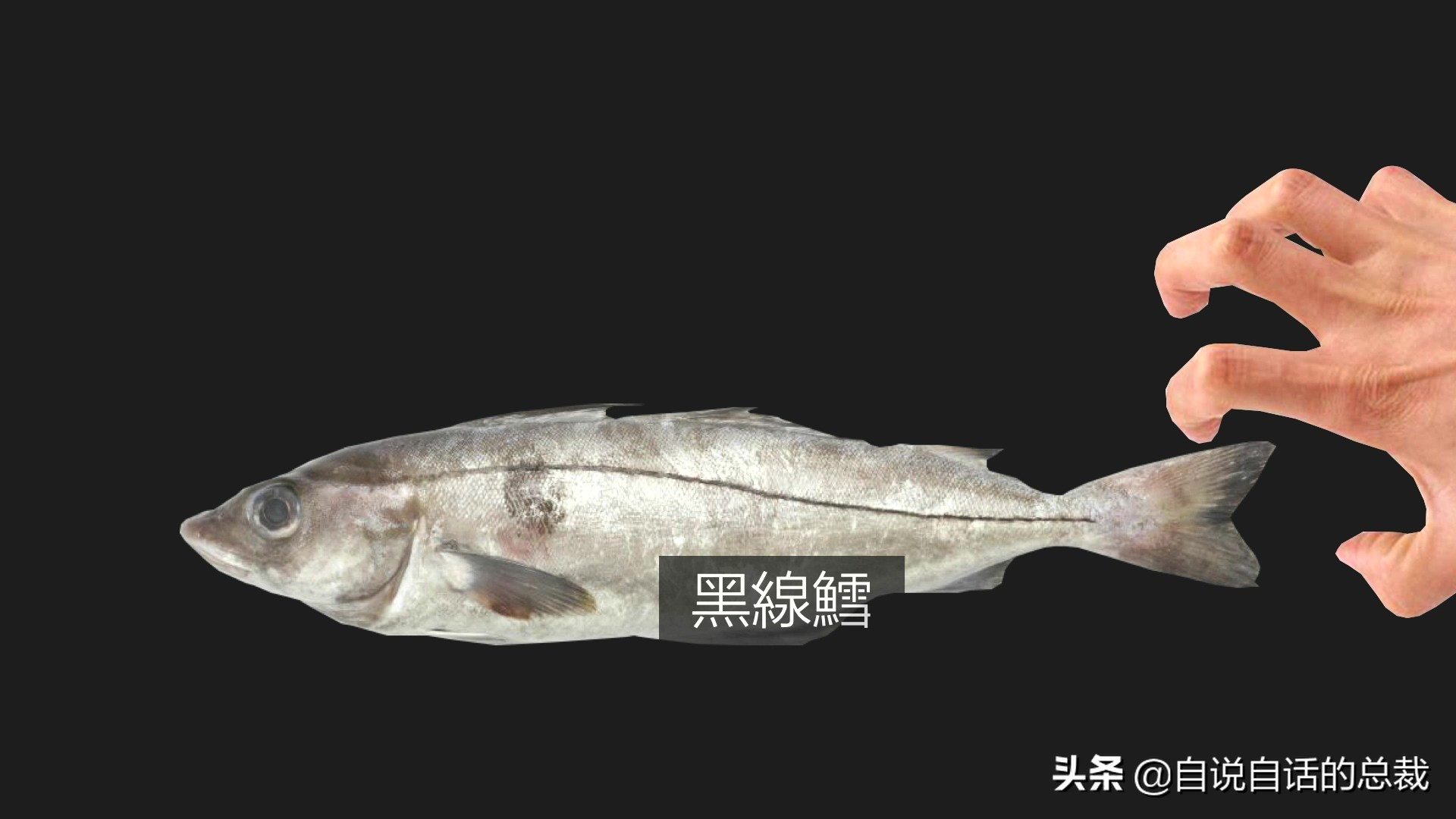 为什么鳕鱼卖的那么便宜,为什么买的鳕鱼特别松散