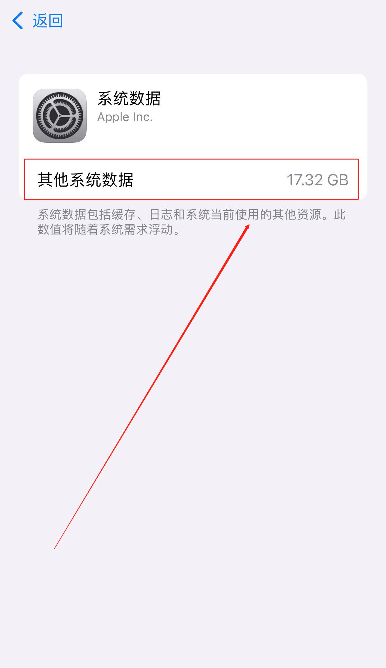 苹果手机用什么软件清理系统垃圾,苹果手机下载清理垃圾哪个软件好