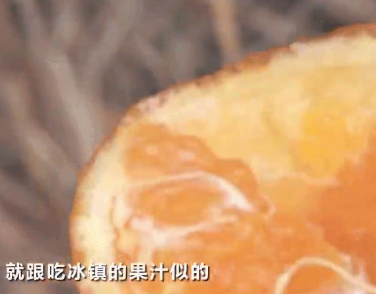 水果中的爱马仕多少钱,高端水果中的爱马仕