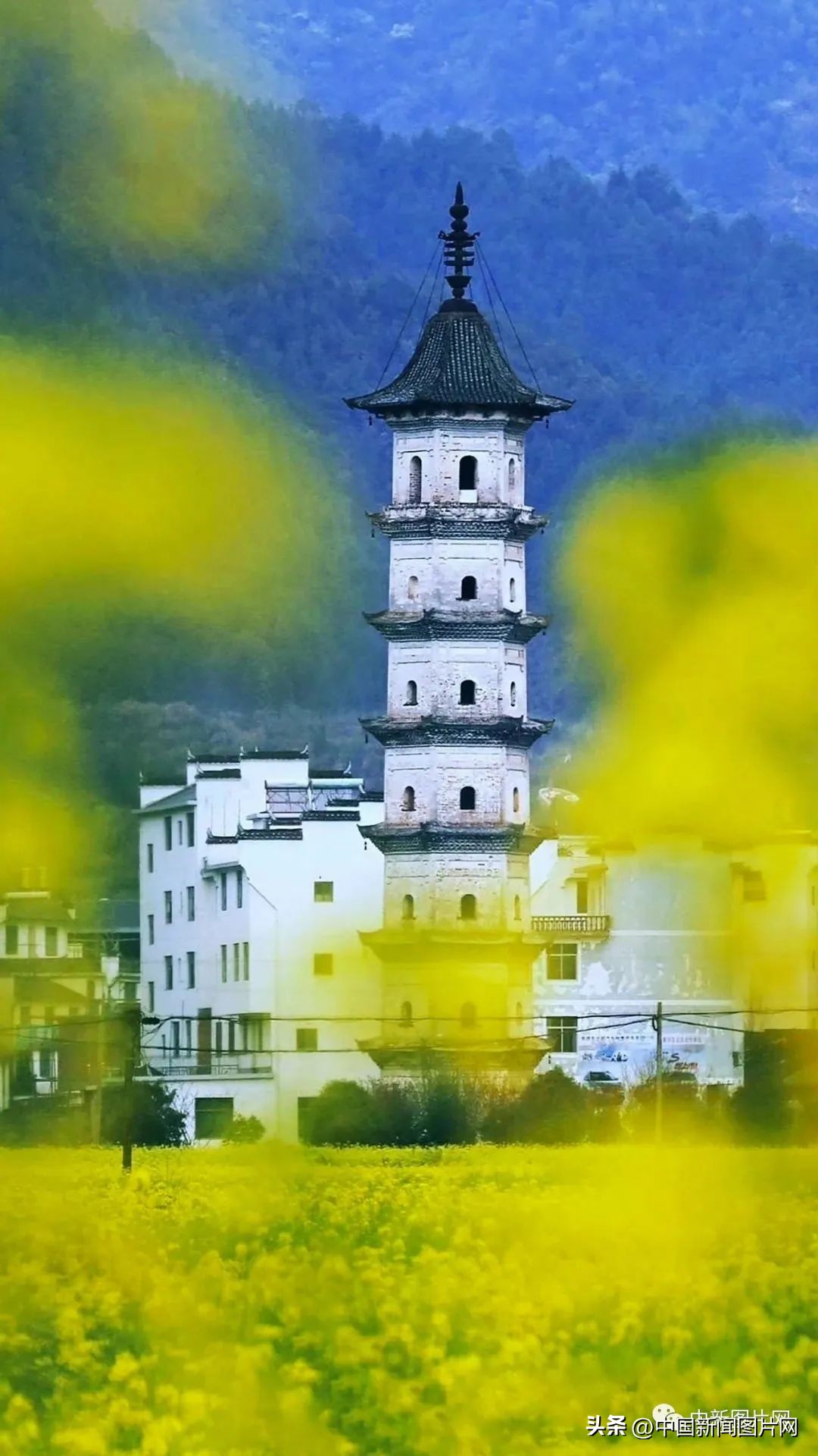 招募！荷赛大师带您记录“美丽中国美丽婺源”