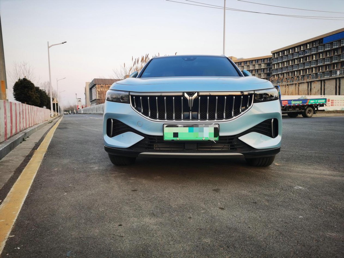 岚图FREE增程豪华版提车作业