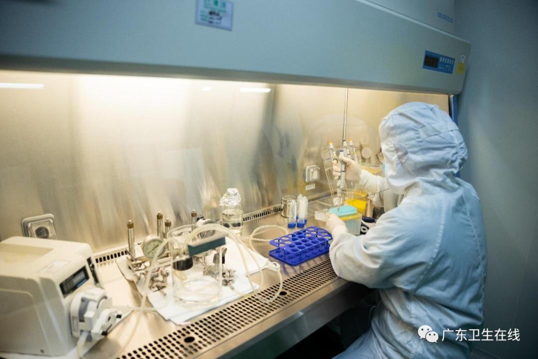 广东首例!地贫患者迎来新希望